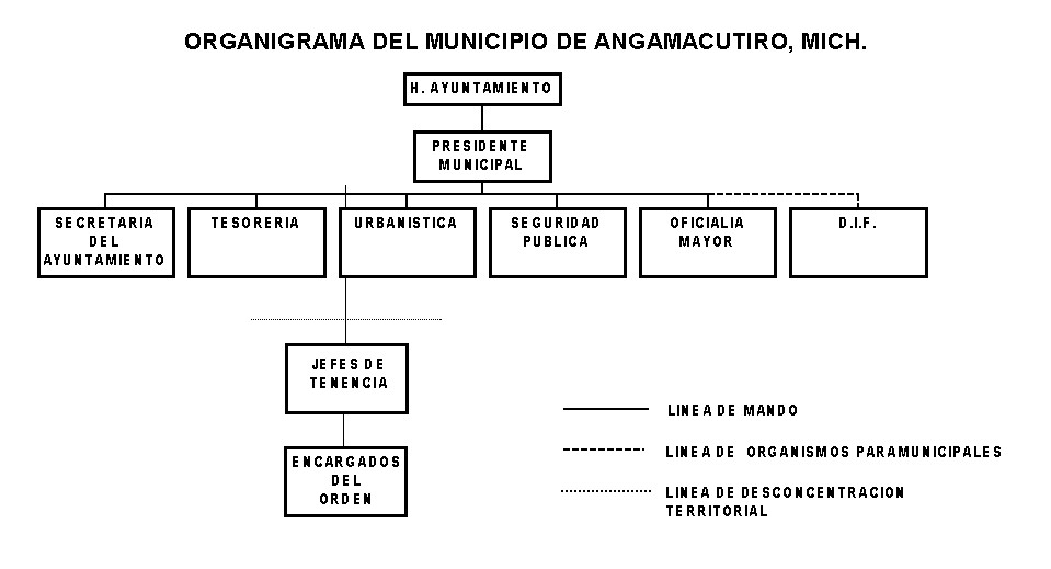 Organigrama